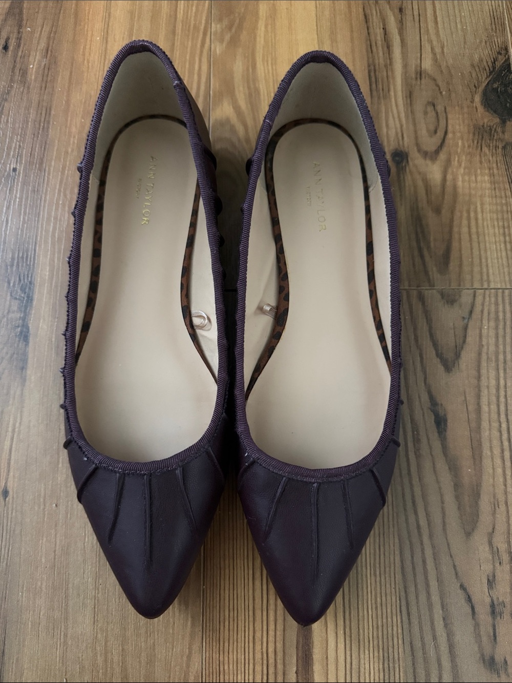 Ann Taylor Factory Pointed Ballet Flats in Plum